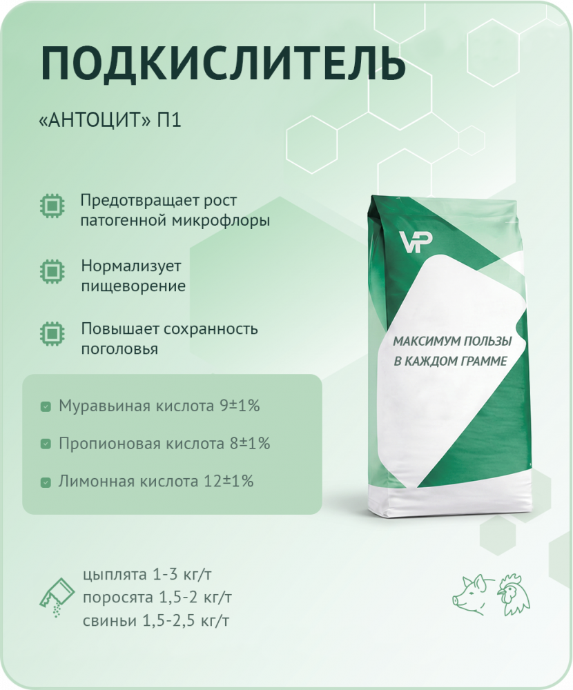 Концентрат "Антоцит" П1