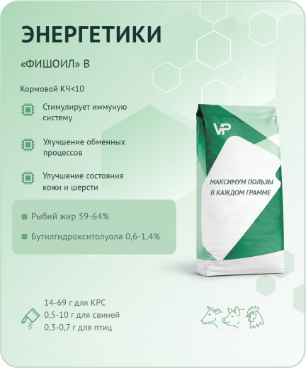 Концентрат "ФишОил" В