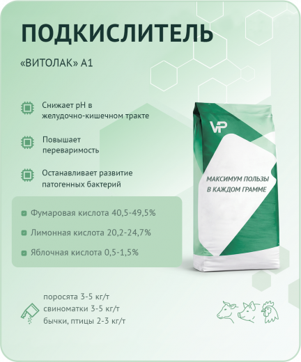 Концентрат "Витолак" А1
