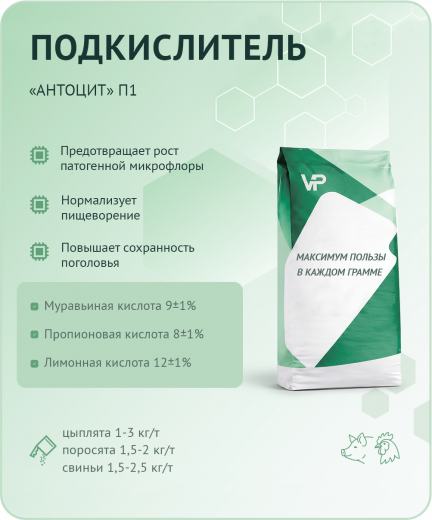 Концентрат "Антоцит" П1